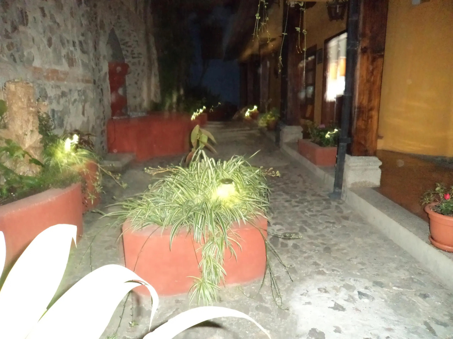 Chez Juanca Hotel Cafe