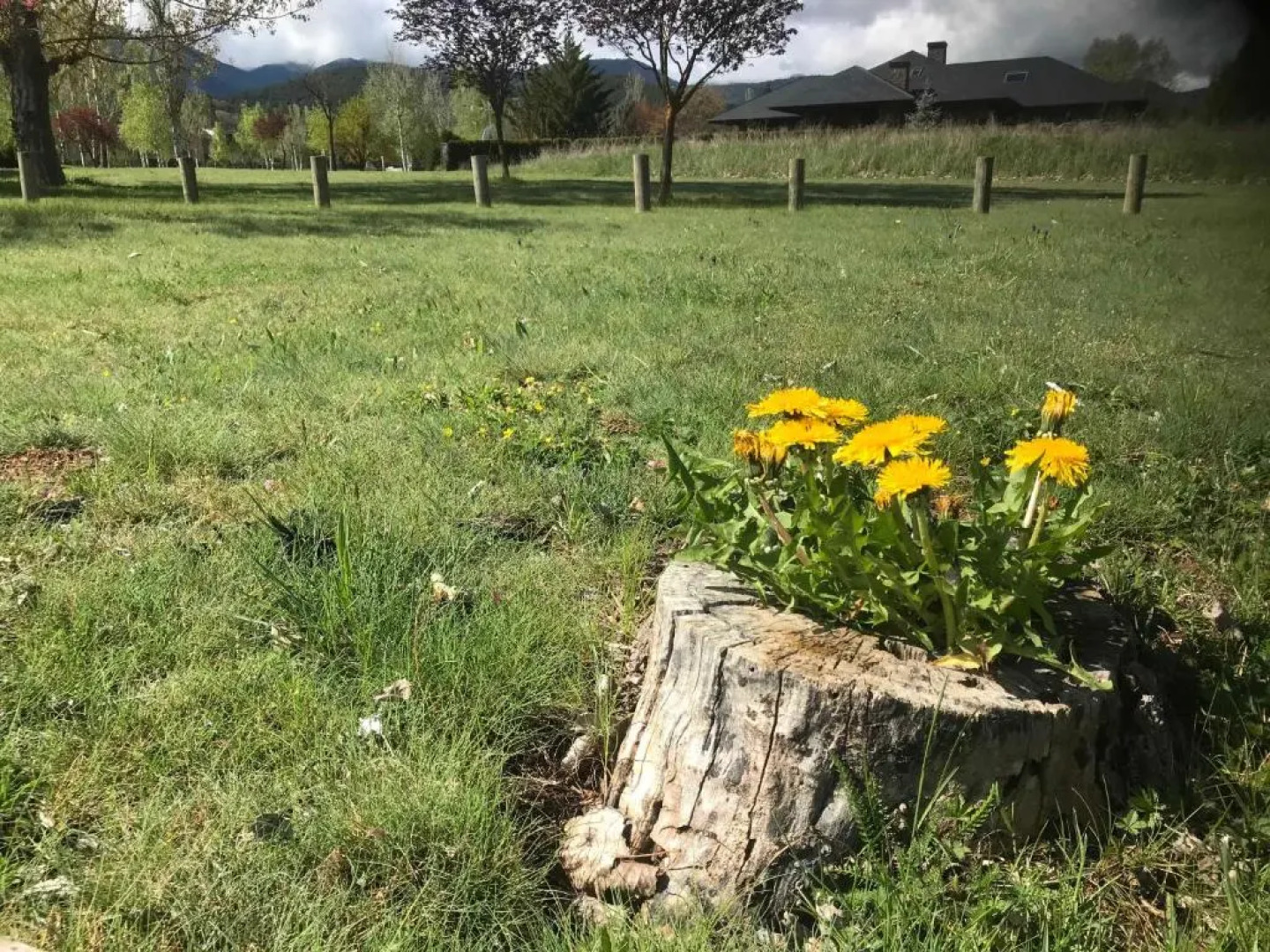 Apartament El Petit del Pla