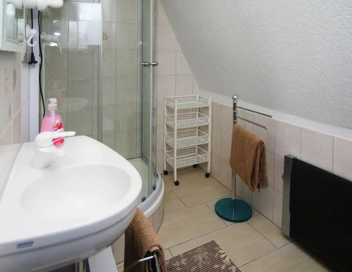 Roof House Near Dummer See With Rowing Boat