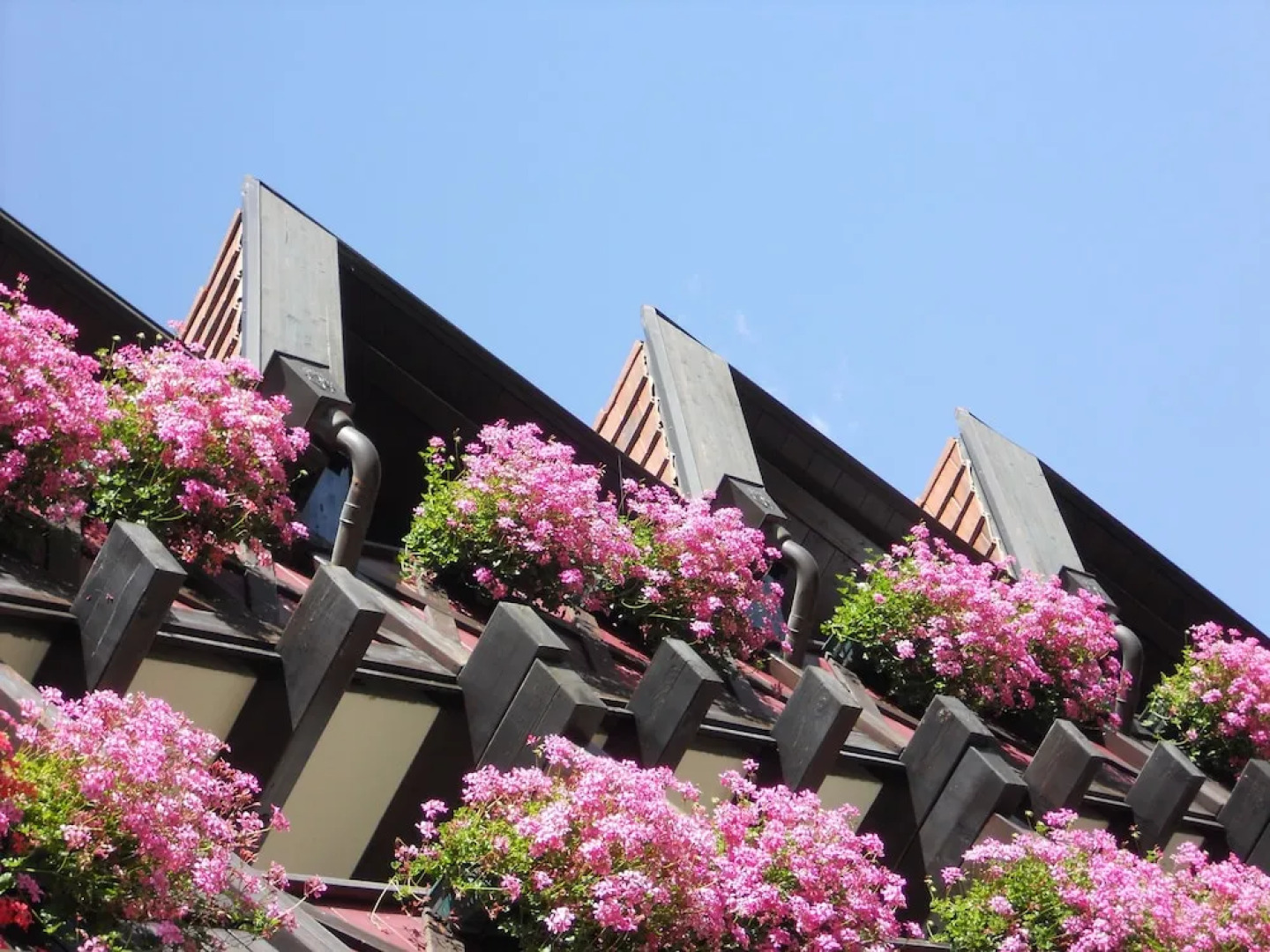 B&B Garni Villa Campitello