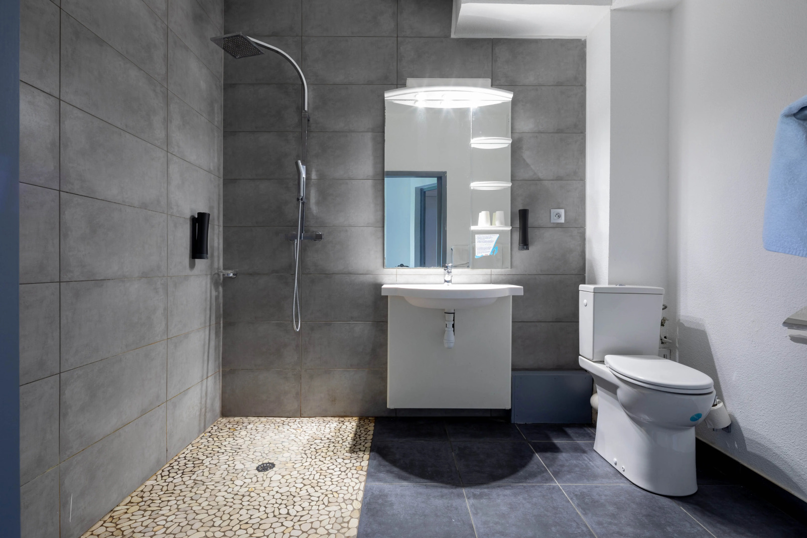 Noemys Viviers du Lac