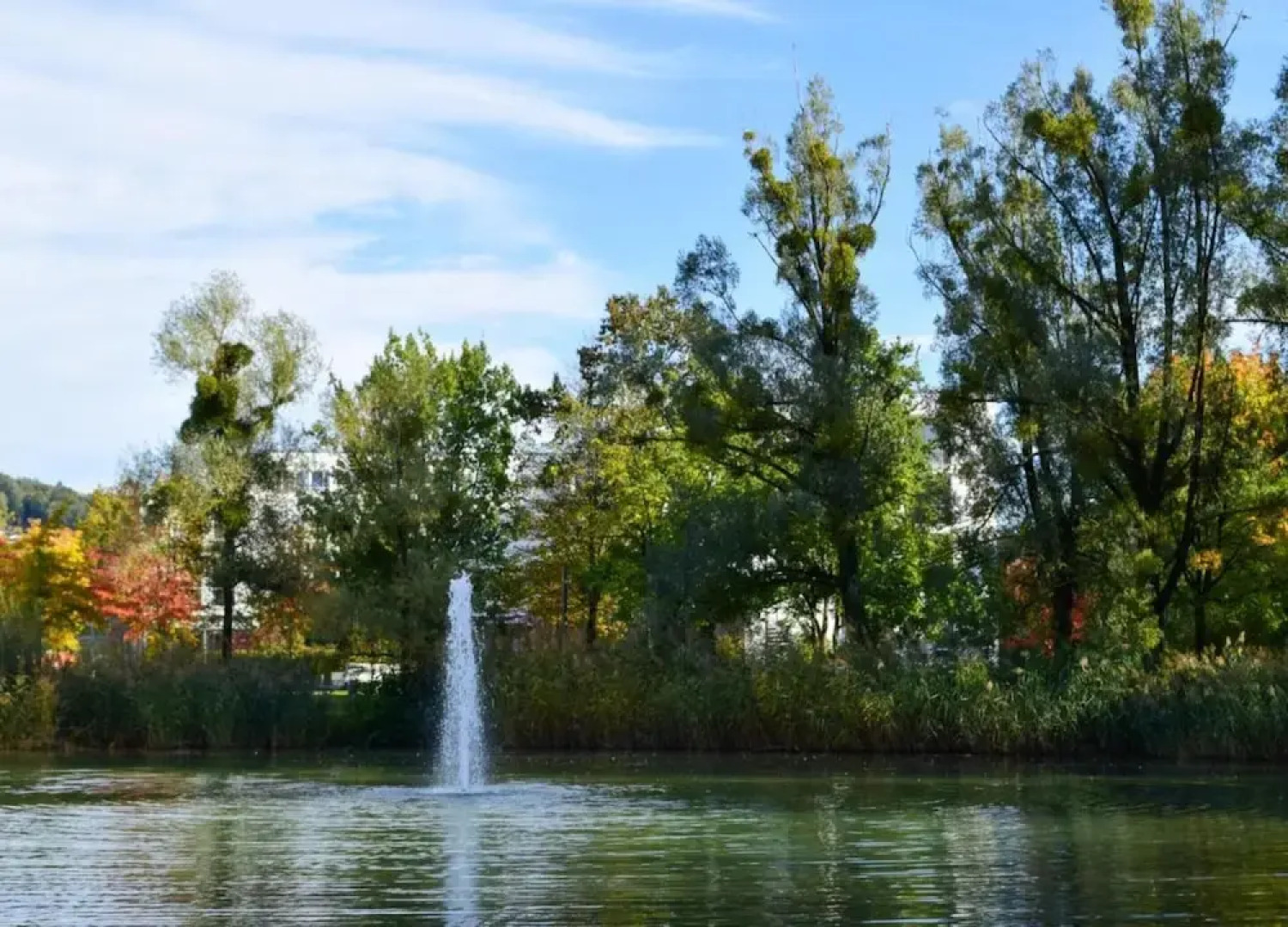 Appartementhaus Bad Griesbach im Rottal