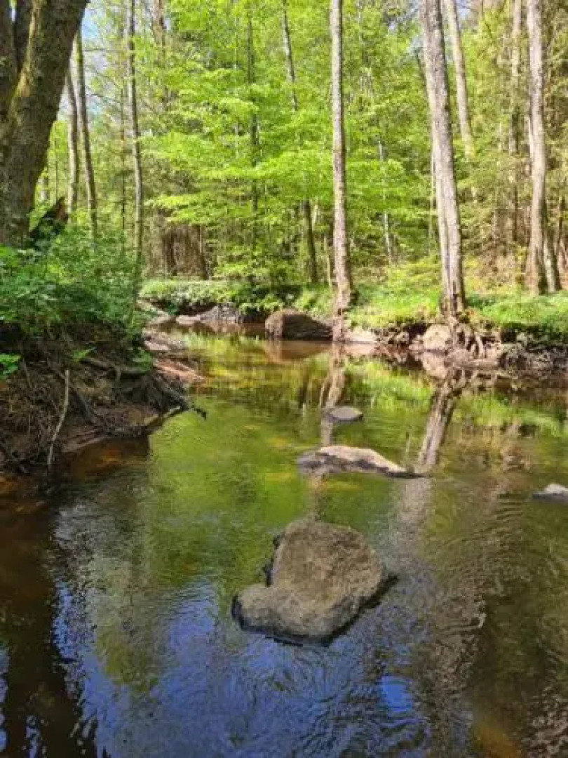 Three-Bedroom Holiday home in Örkeljunga 1