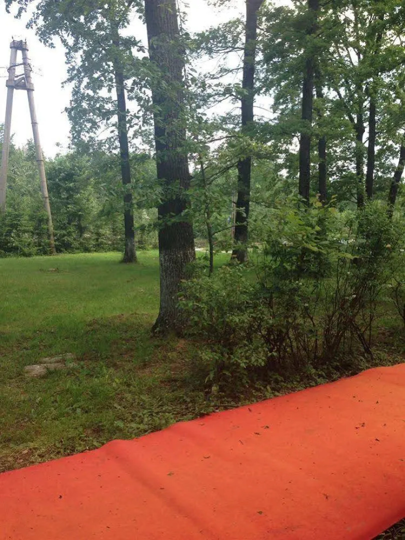 Forest Mirage Pension