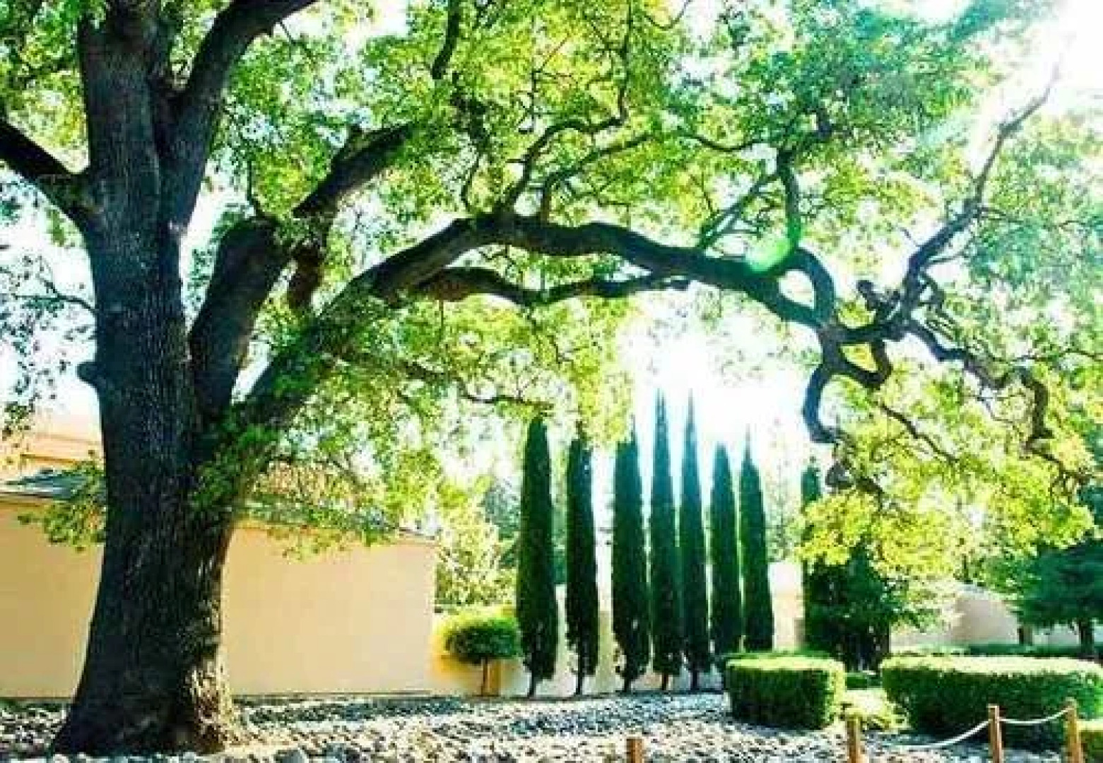 Courtyard Sacramento Airport Natomas