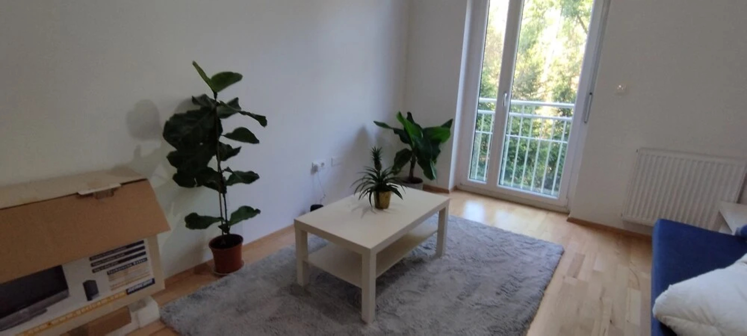 Beautiful Large Apartment in Leibnitz Center