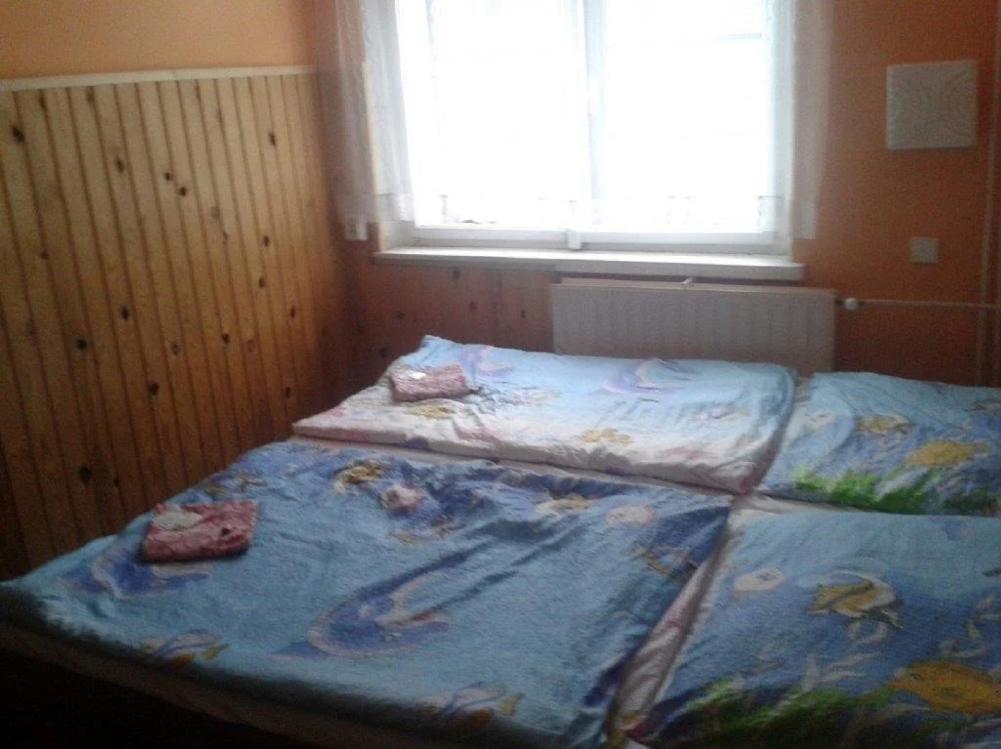 Penzion Chata Orlice