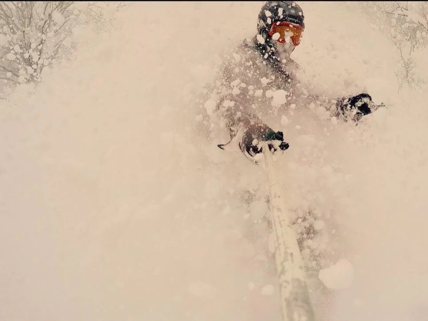Hakuba Landmark Iwatake Lodge