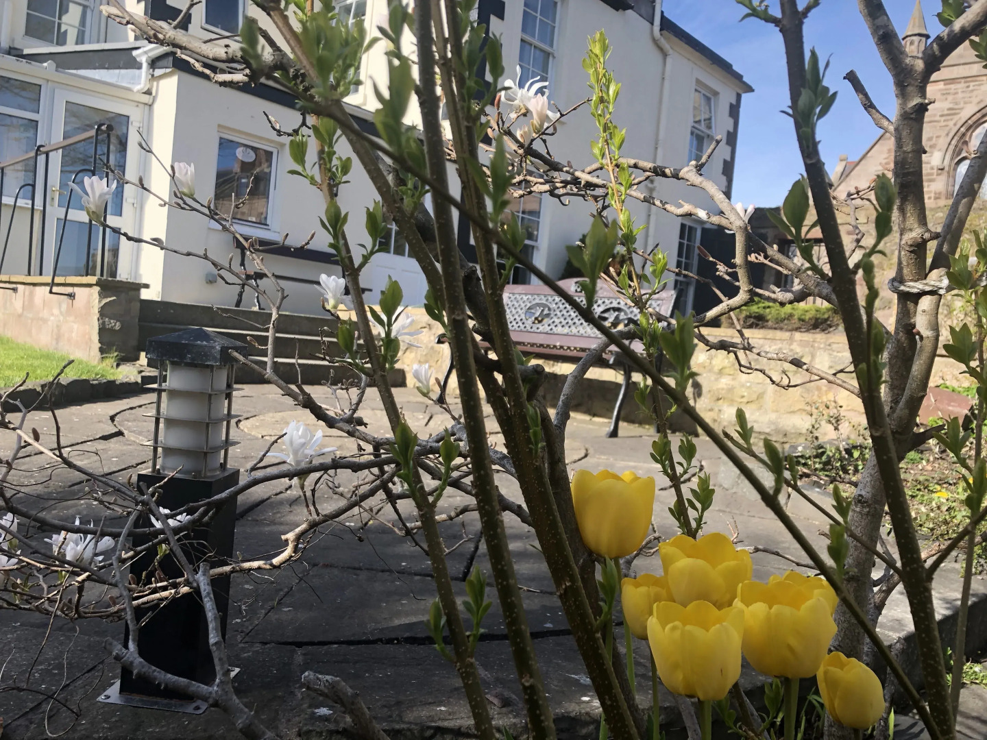 The Glenerne Guest House