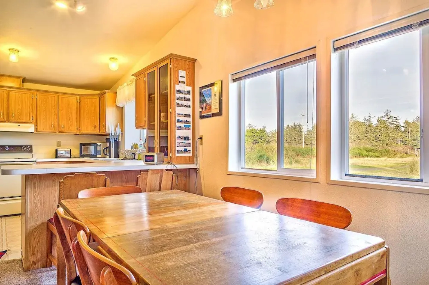 Spyglass Dunes in Grayland