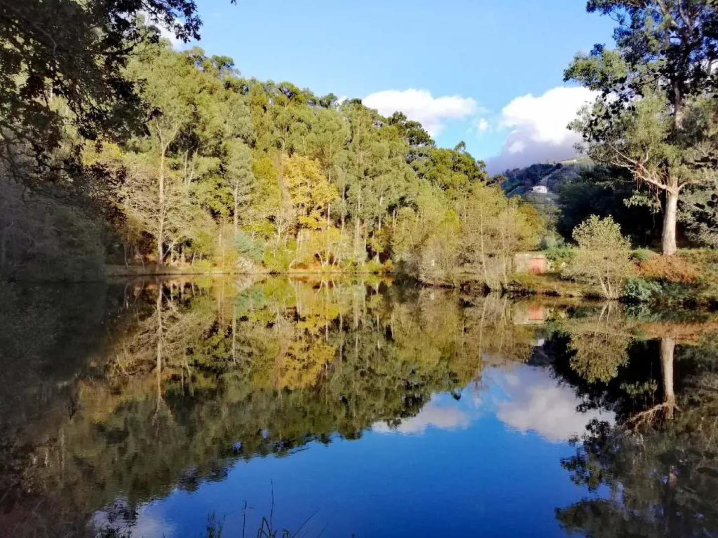 Residencial Mira-Sol