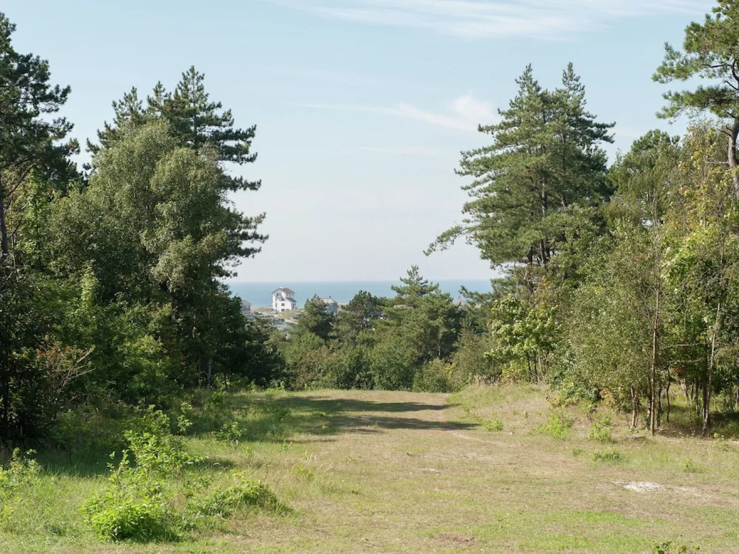 Timeless Charm and Cozy Stay