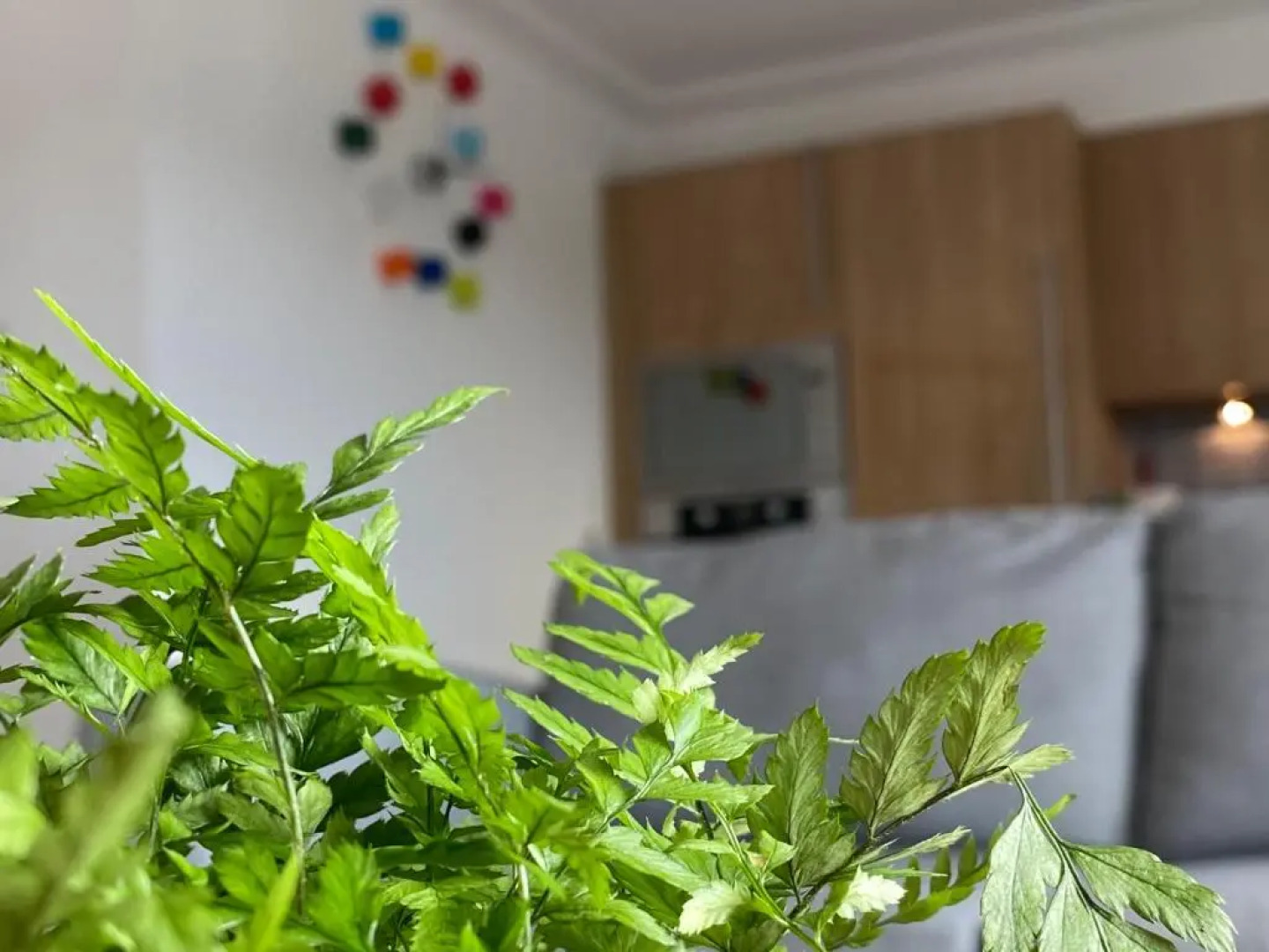 The Duplex Nairn- Spacious 3 Bedroom with sunny balcony