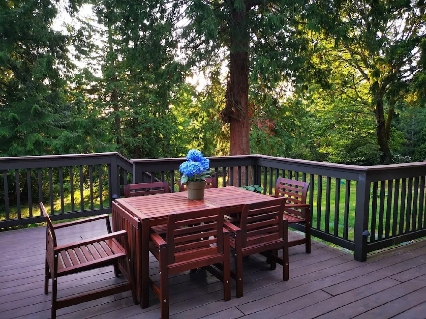 The 2 Forest Rooms--great For Family--and Views