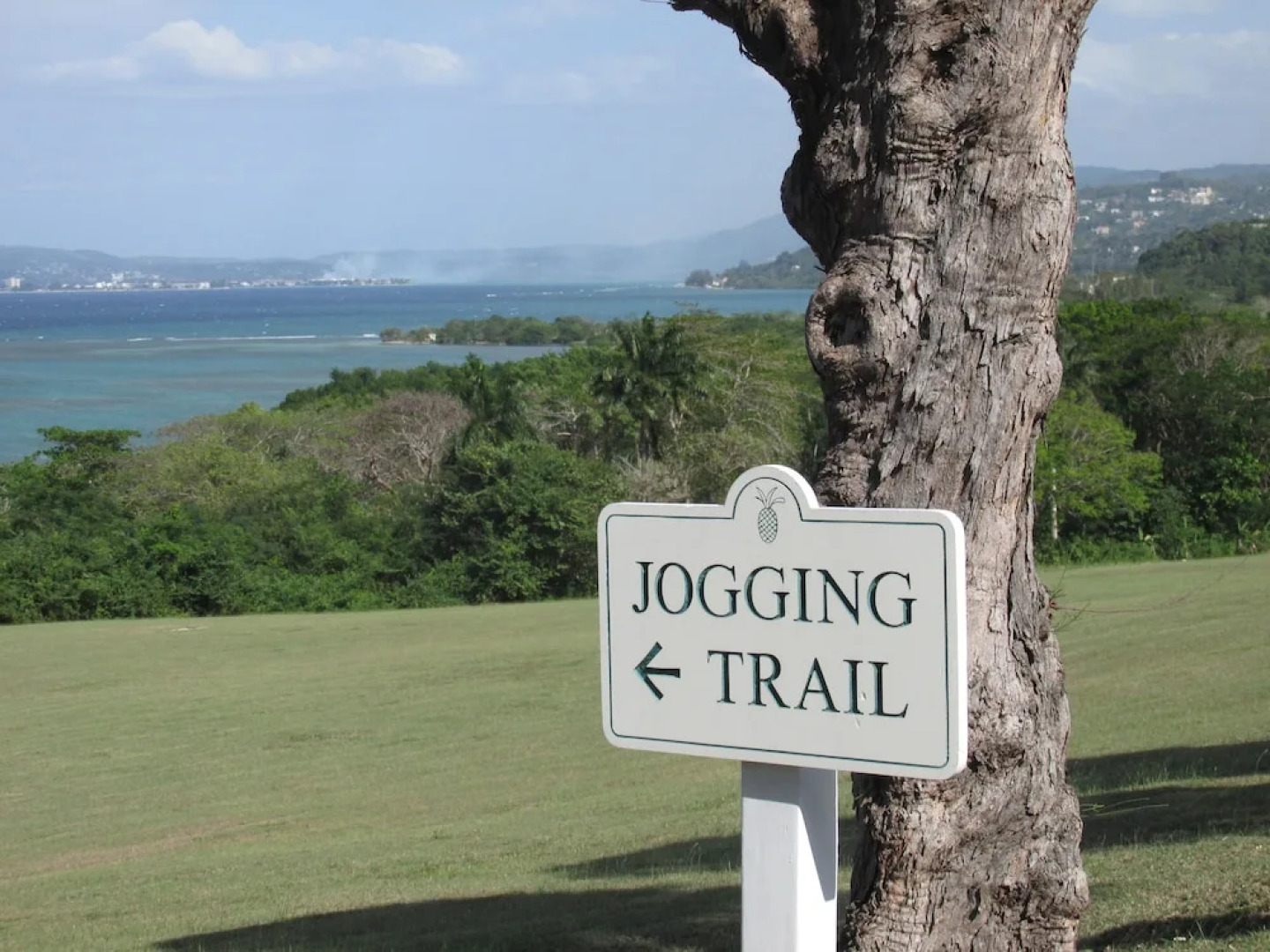 Staffed Round Hill Membership Van/driver 5 Bedroom Villa