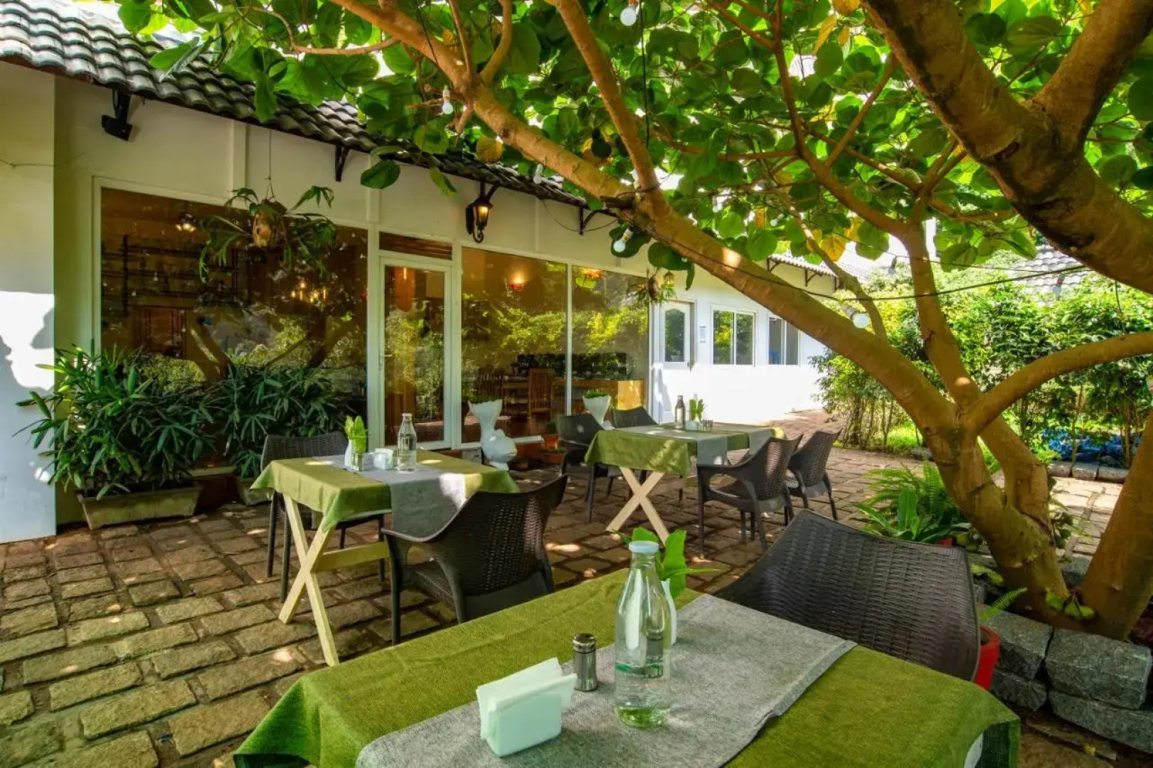 Tea Harvester Munnar