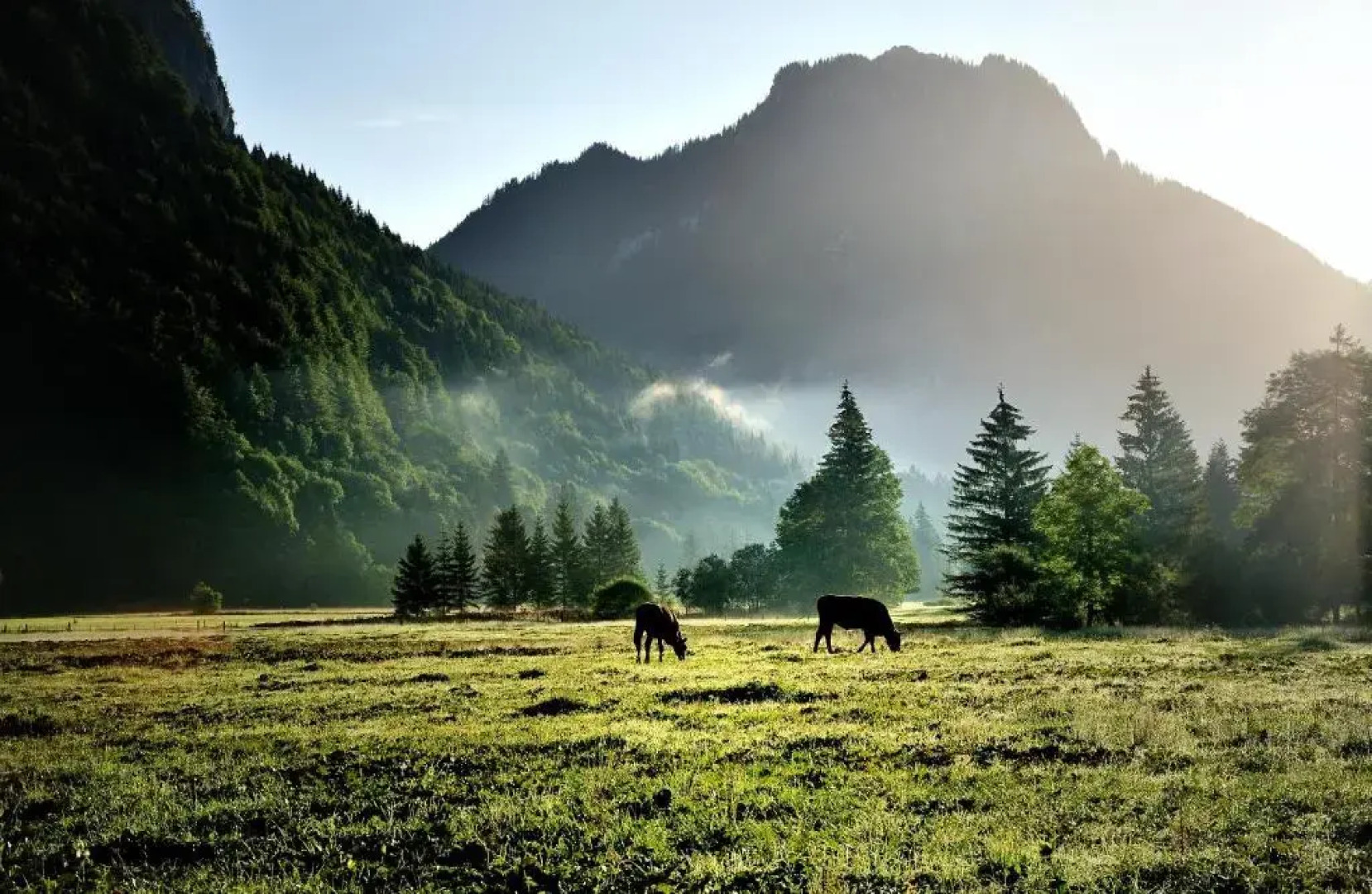 Landhotel Böld and Restaurant Uhrmacher Oberammergau