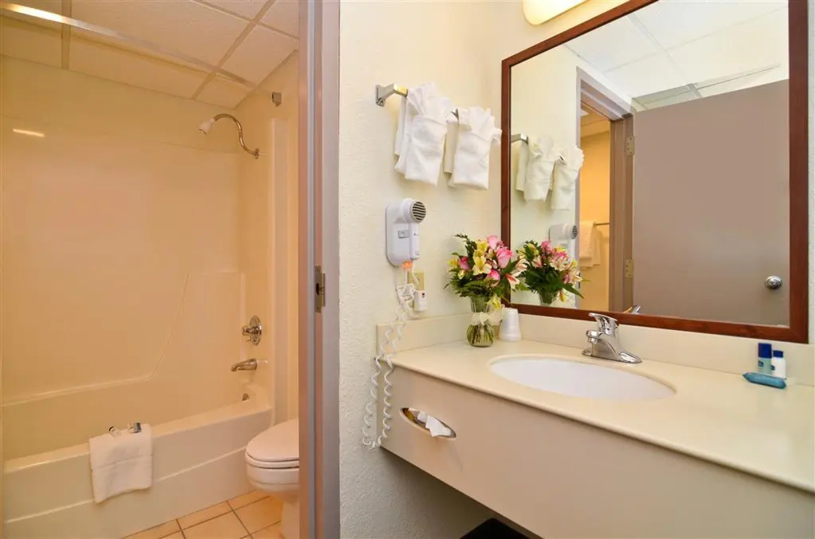 Best Western Cooper's Mill