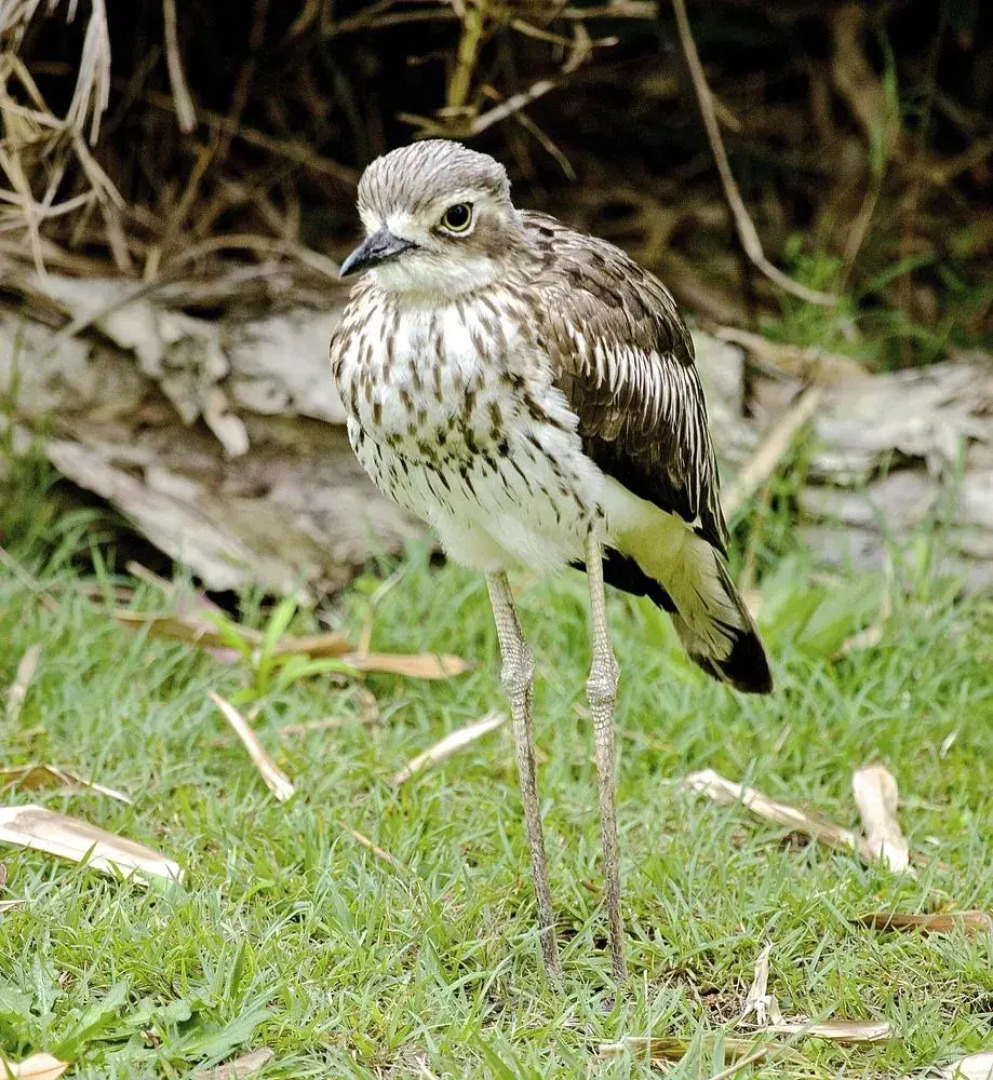 Yarrandabbi Dreaming Boutique B&B