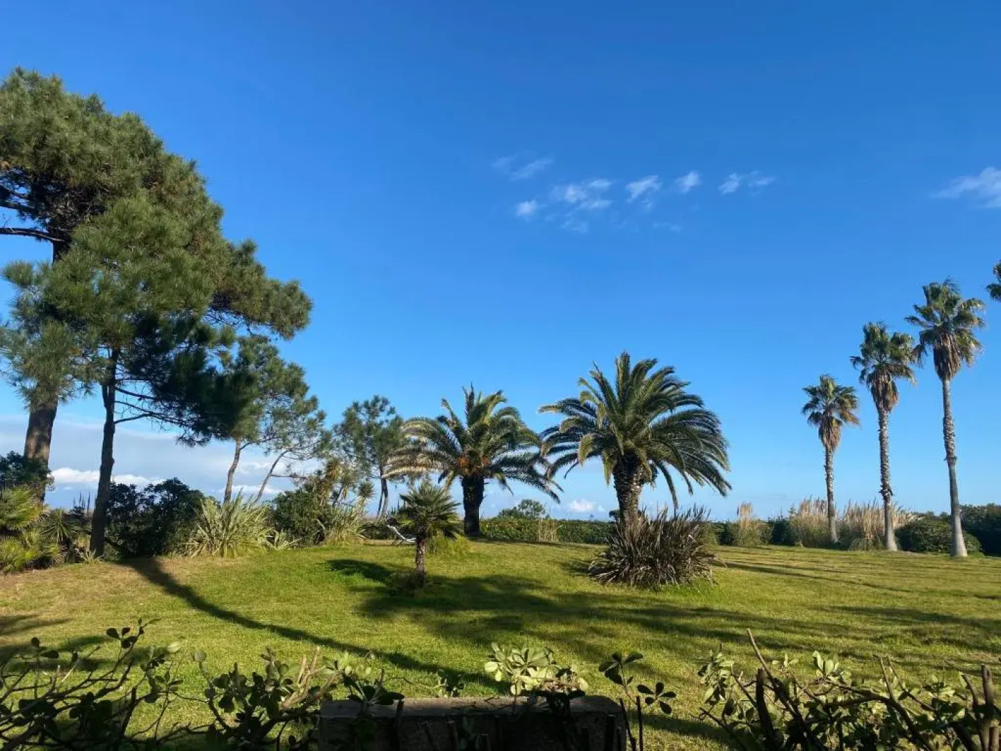 Résidence les chênes