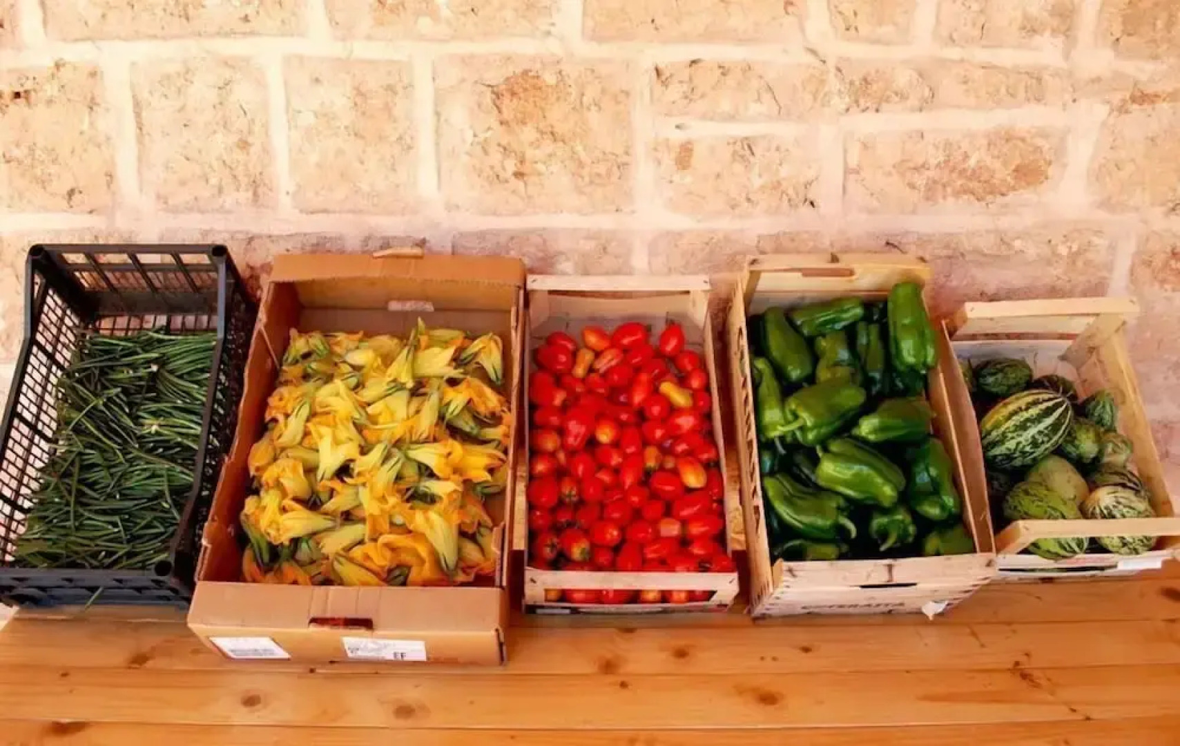 Agriturismo Masseria Galatea