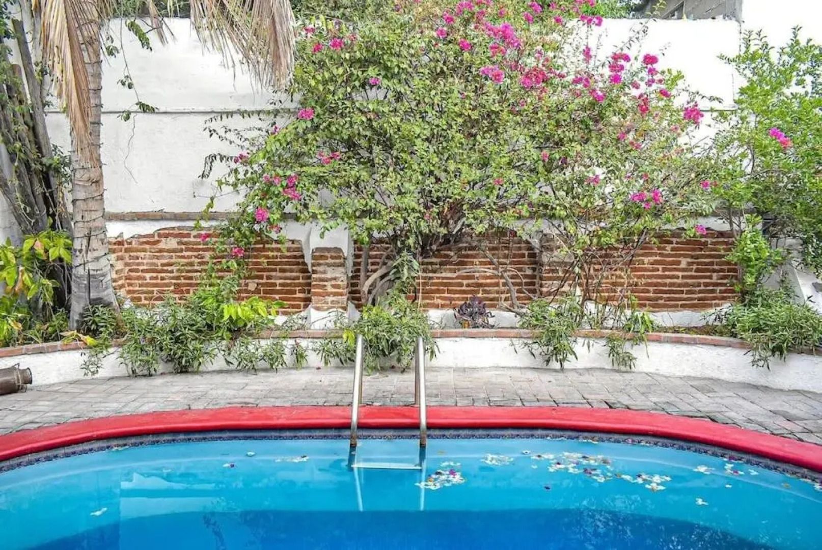 Baja Bed and Breakfast