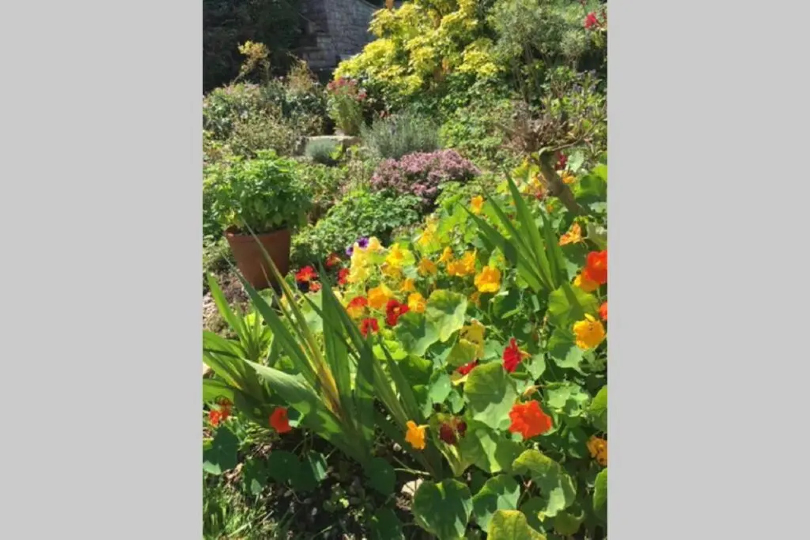 16 Century Farmhouse Cottage, foothills of iconic Glastonbury Tor.