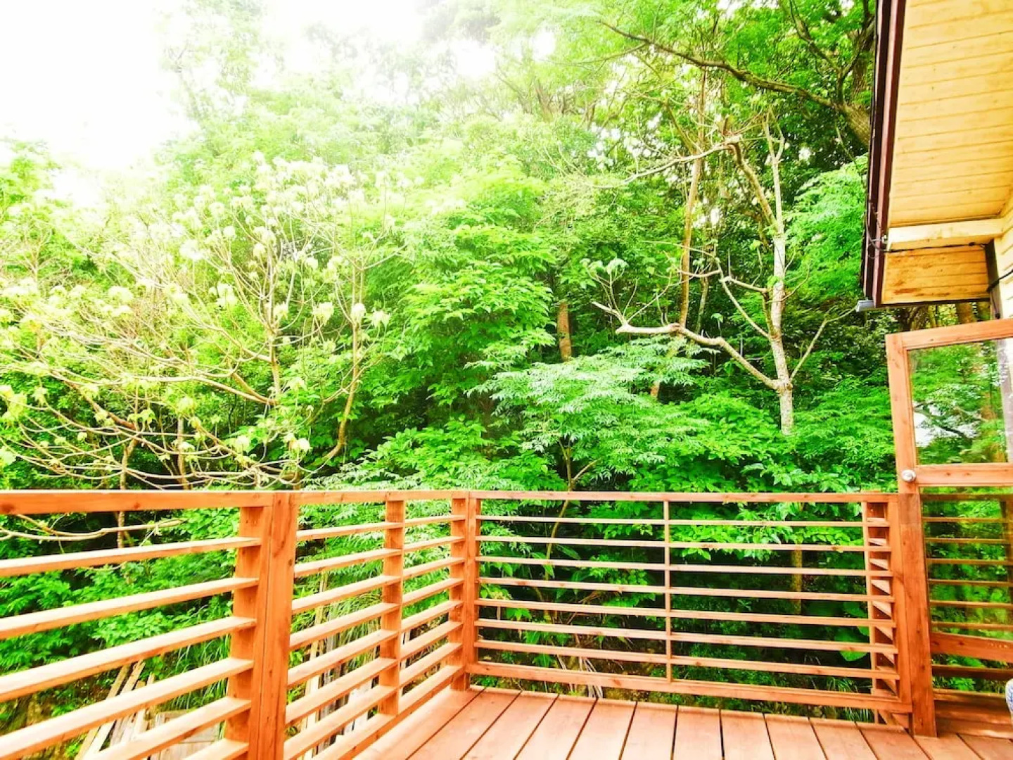 Minami no Yama no ie Cotenchi