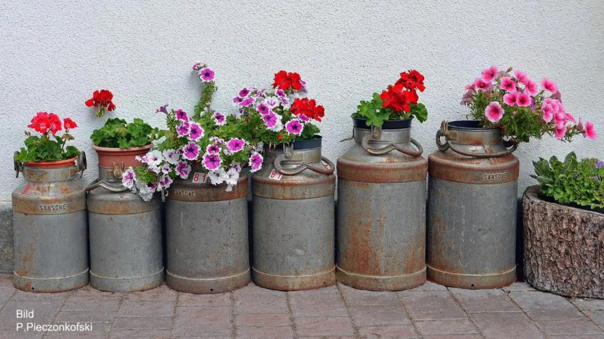 Haus Ploner - Pichlerhof