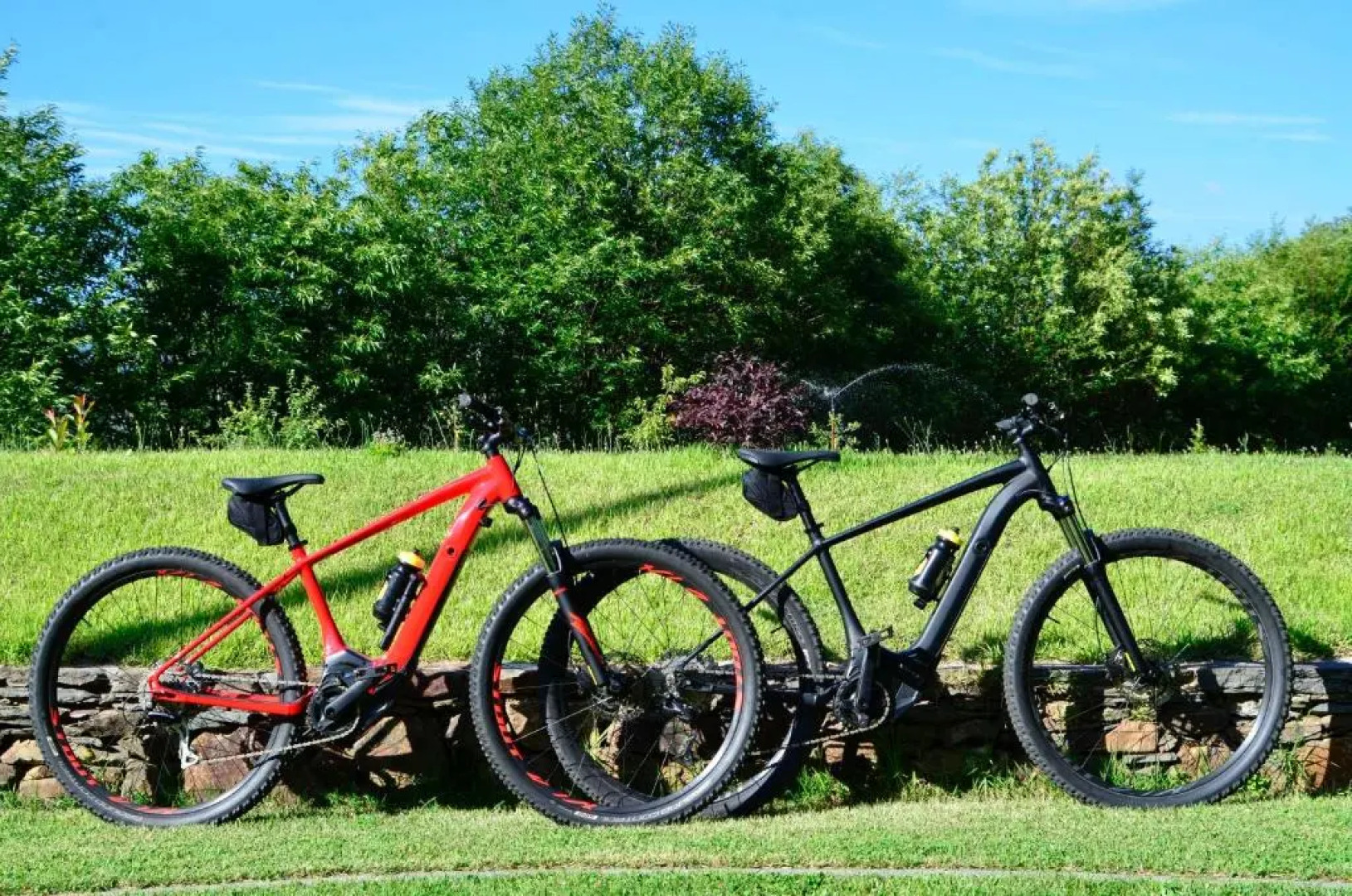 Solar da Castanha - Forest House