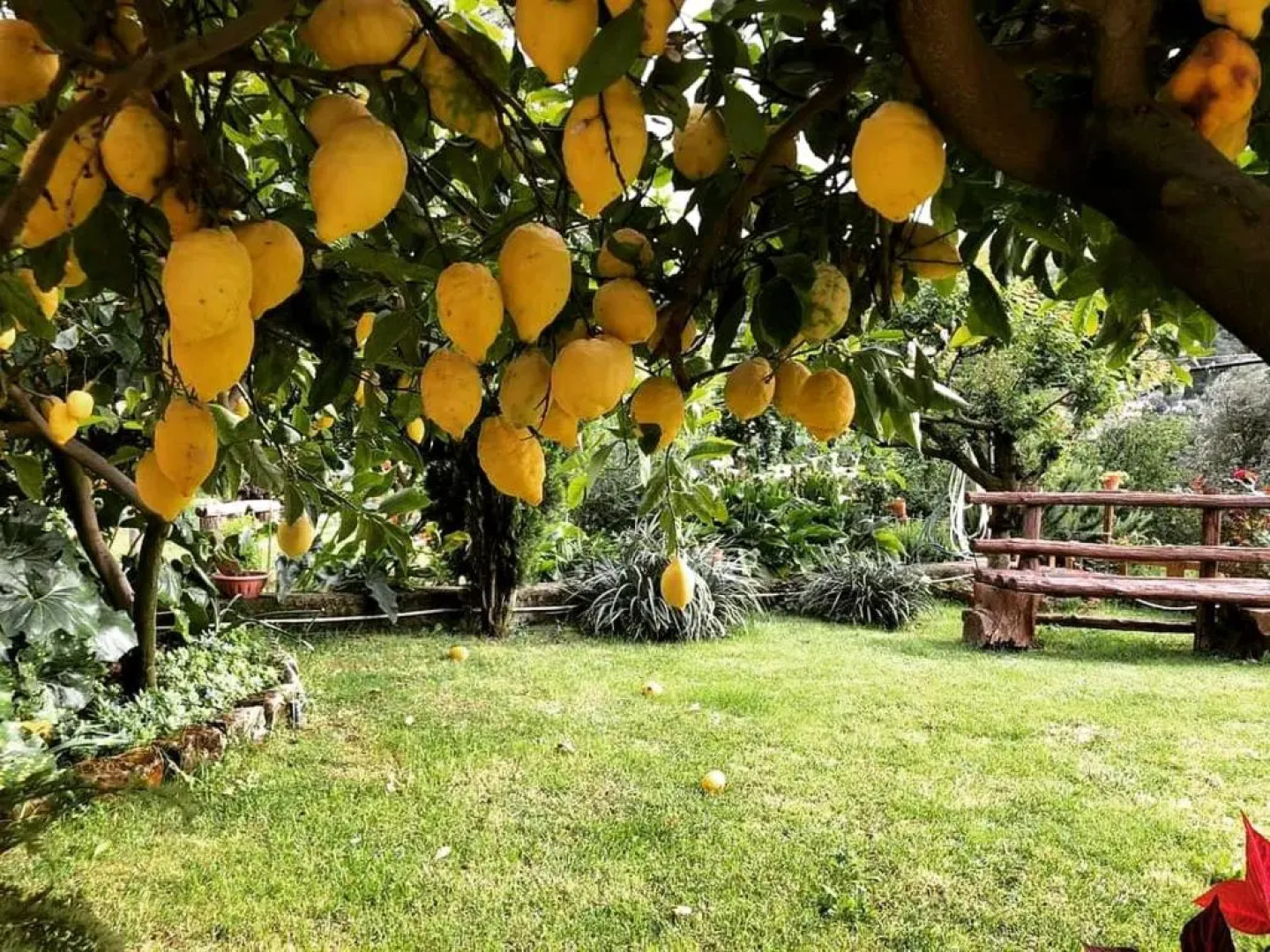 L'Angolo di Campagna