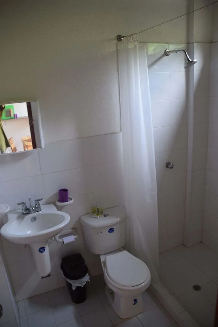 Finca Cafetera San Rafael