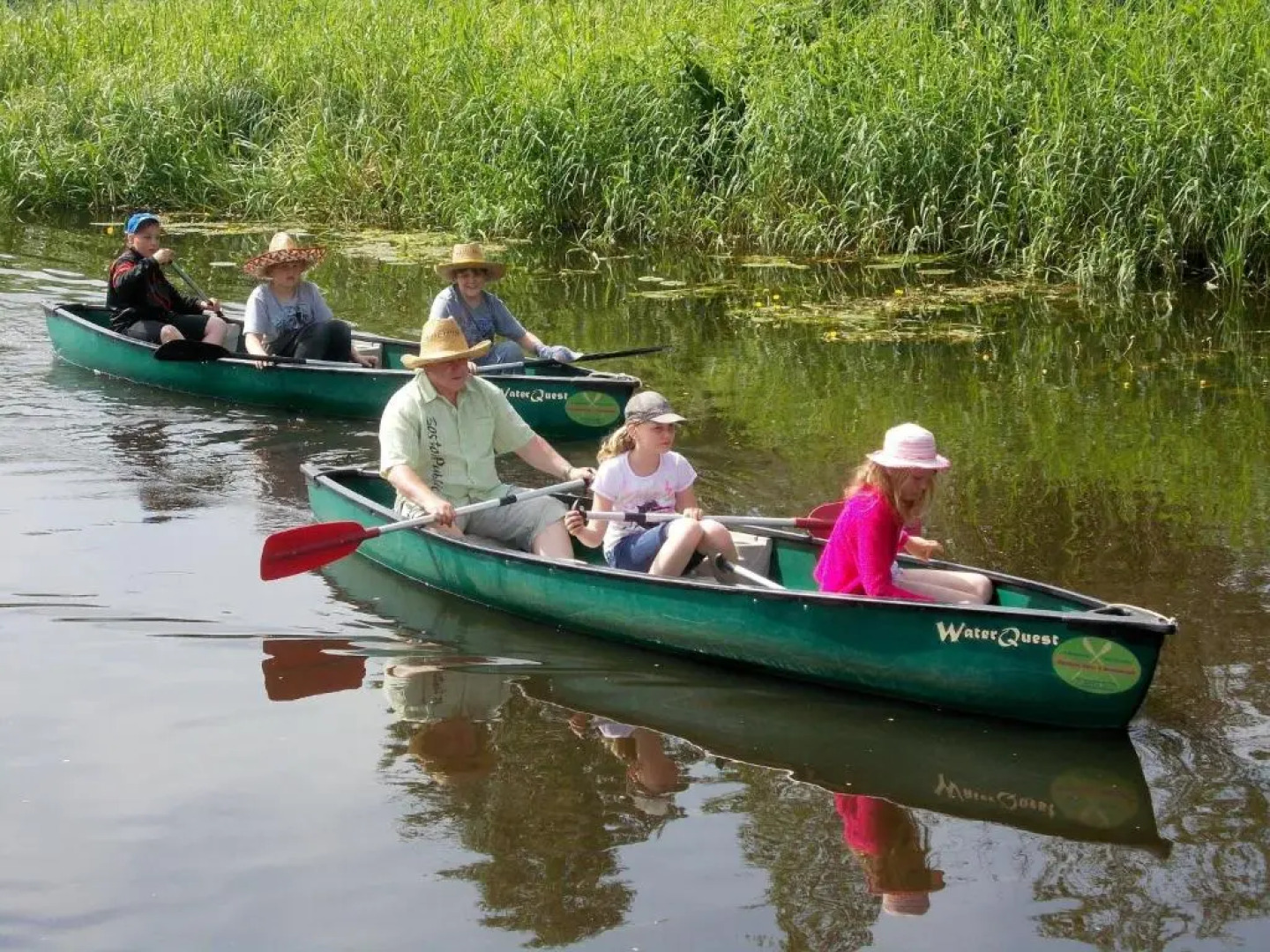 Schwalbennest - [#93355]