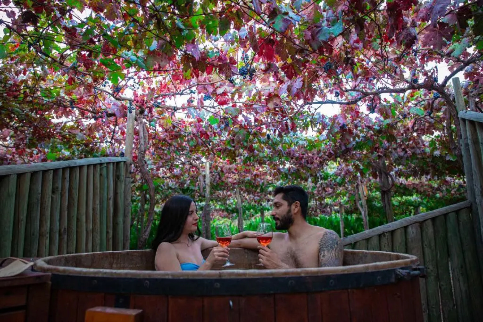 Hotel Cava Colchagua