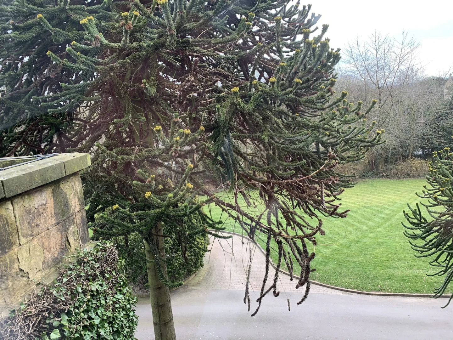 Best Western Plus Sheffield Mosborough Hall Hotel