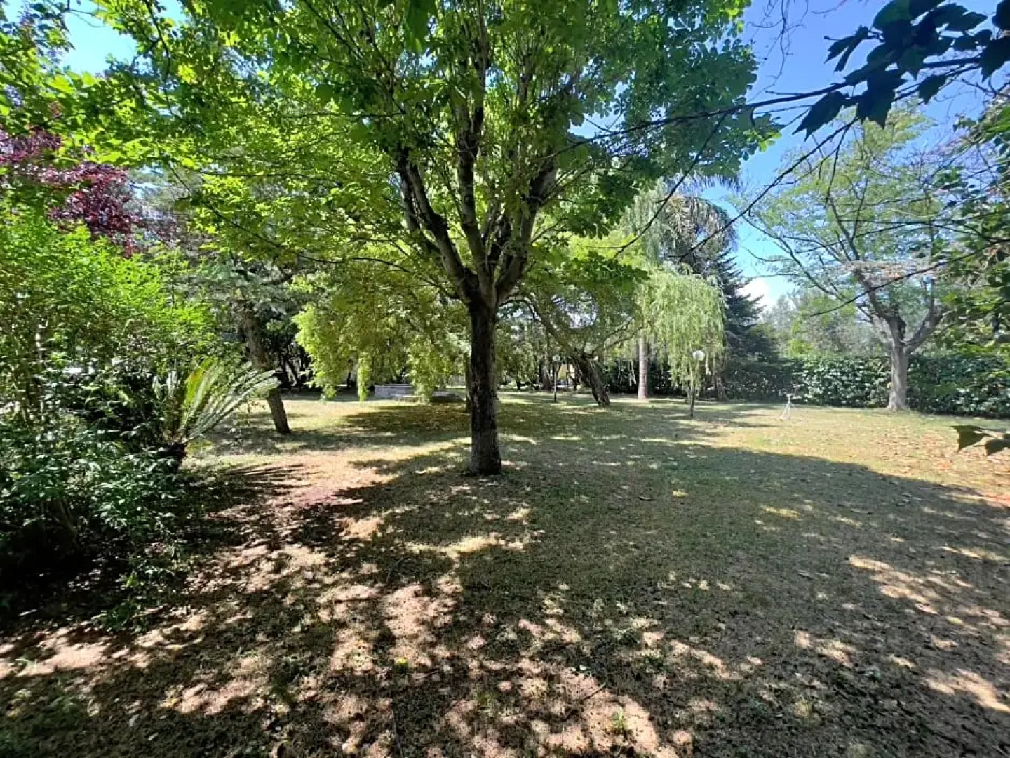 Camelie Apartment by Agriturismo Al Gallo Verde