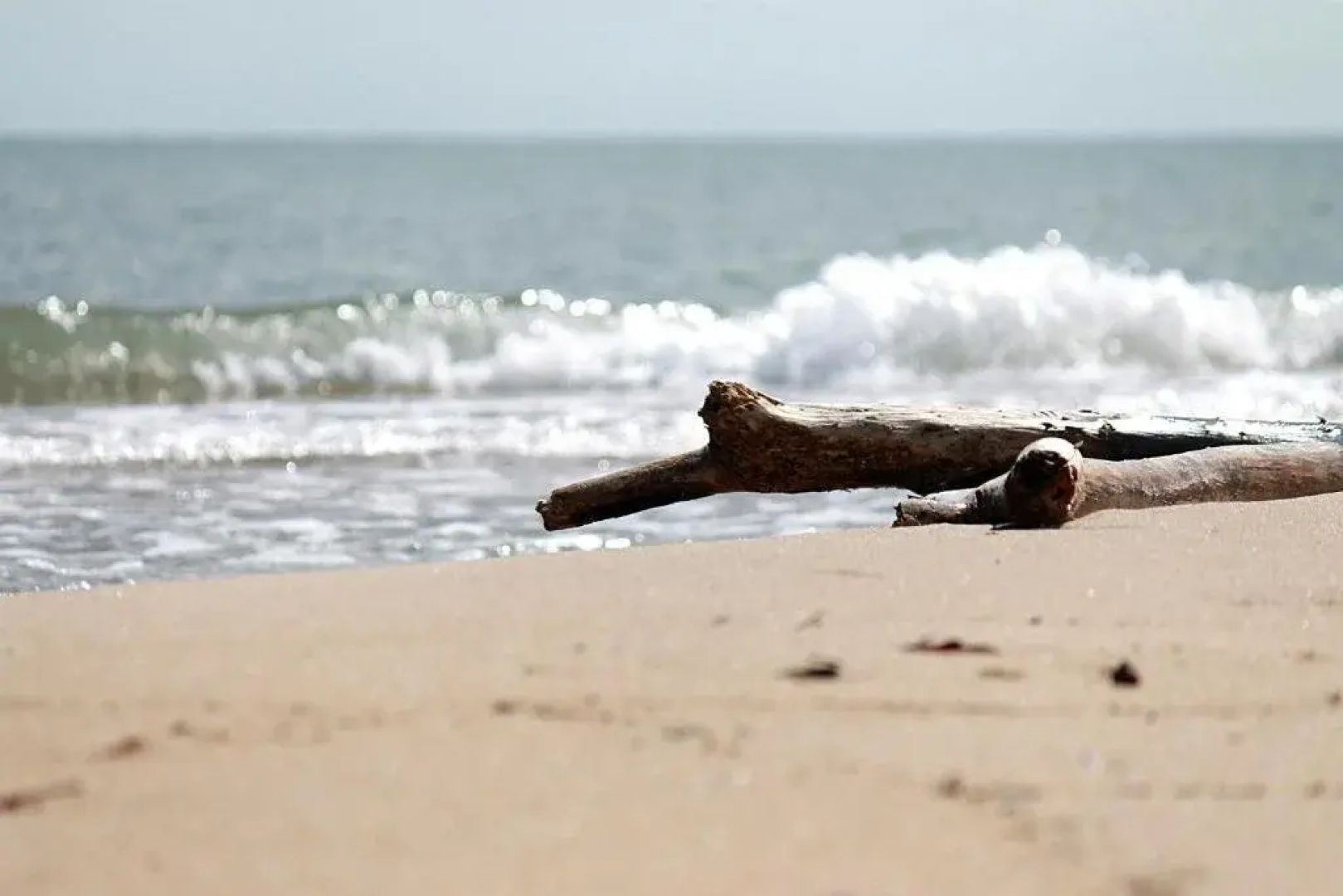 Machans Beach Bed & Breakfast