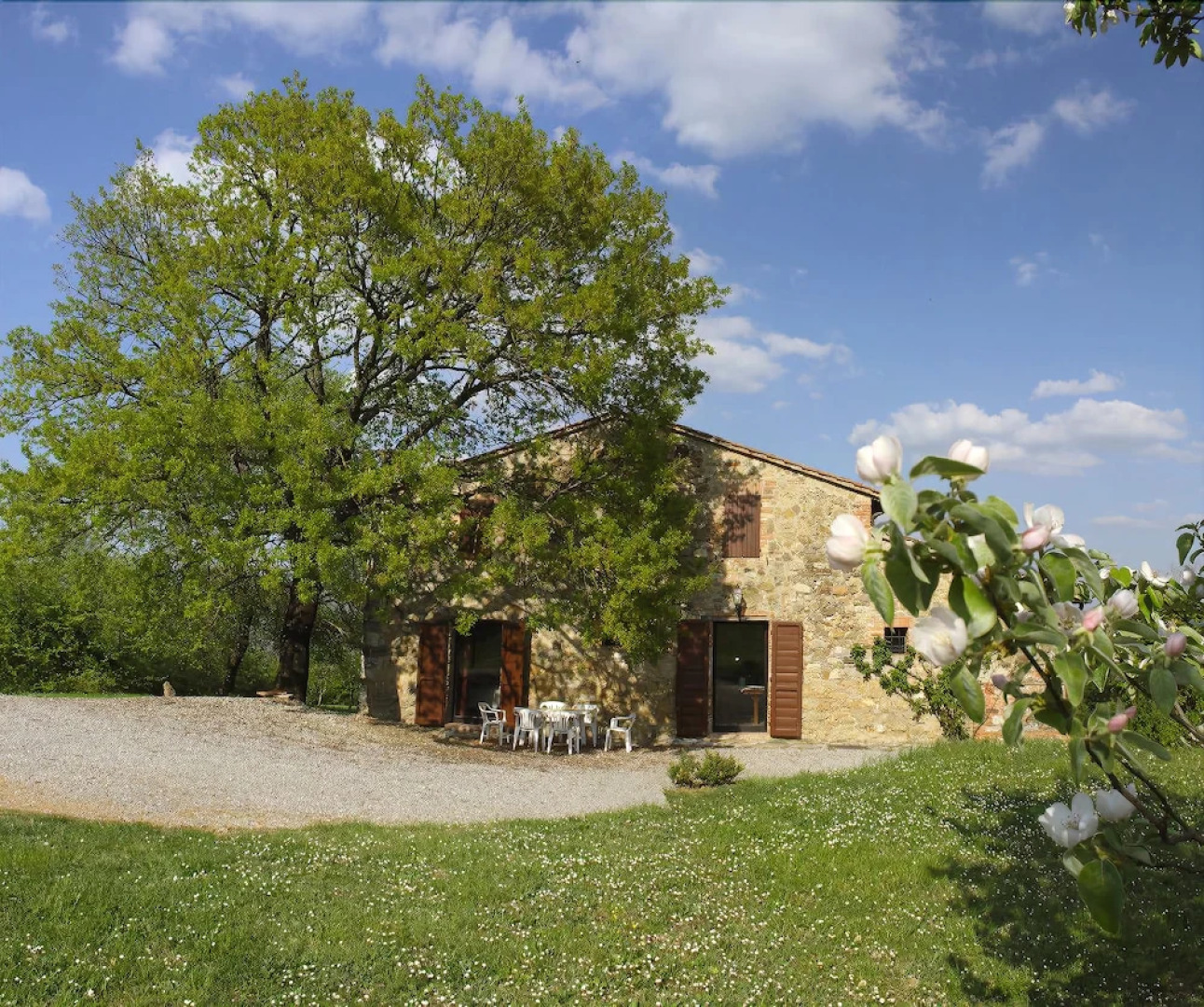 Verdidea - LA FICAIA