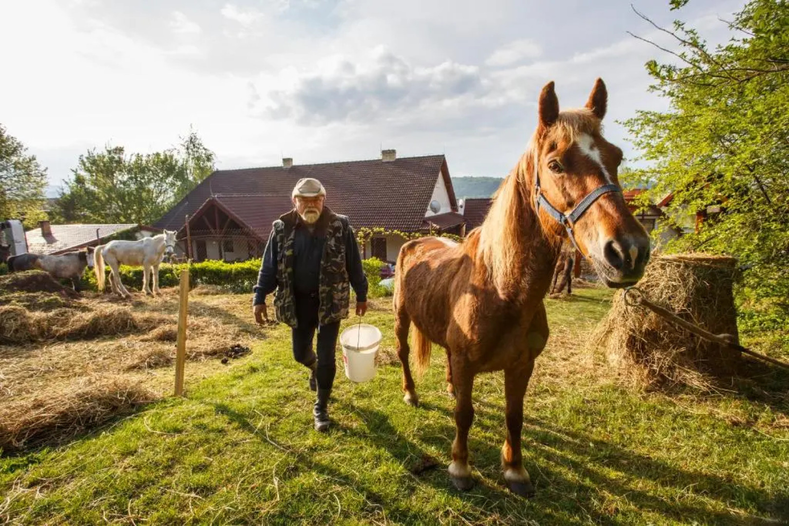 Penzión Skalná ruža - Kövirózsa panzió