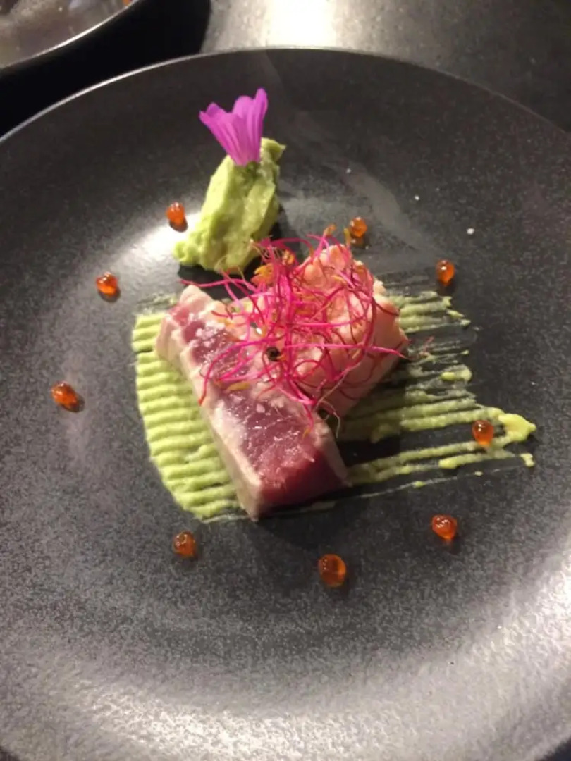 Le Trésor Des Templiers