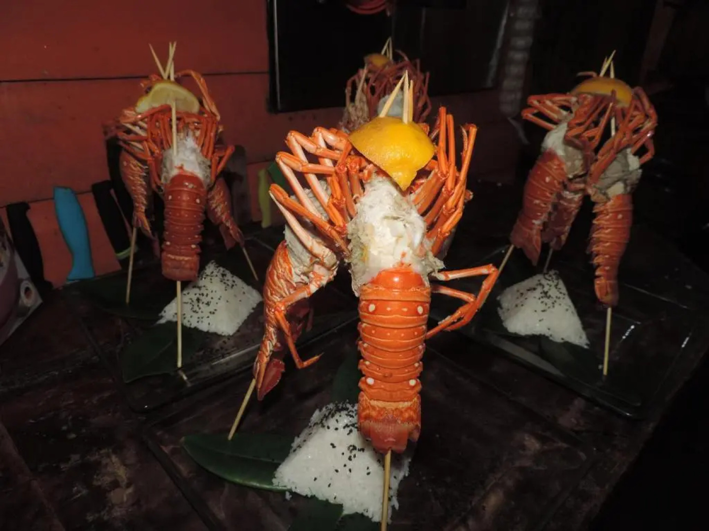 Urraca Monkey Island Eco Resort