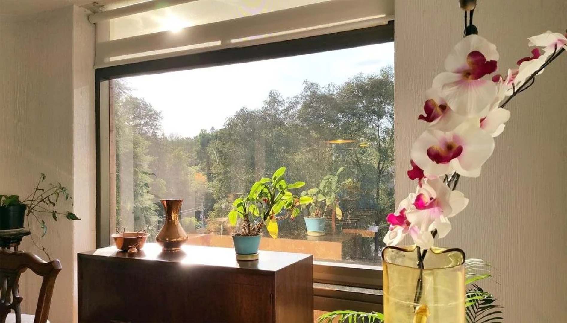 Private Sanctuary Del Valle