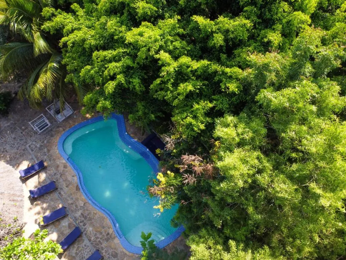 Sharazad Oasis Retreat