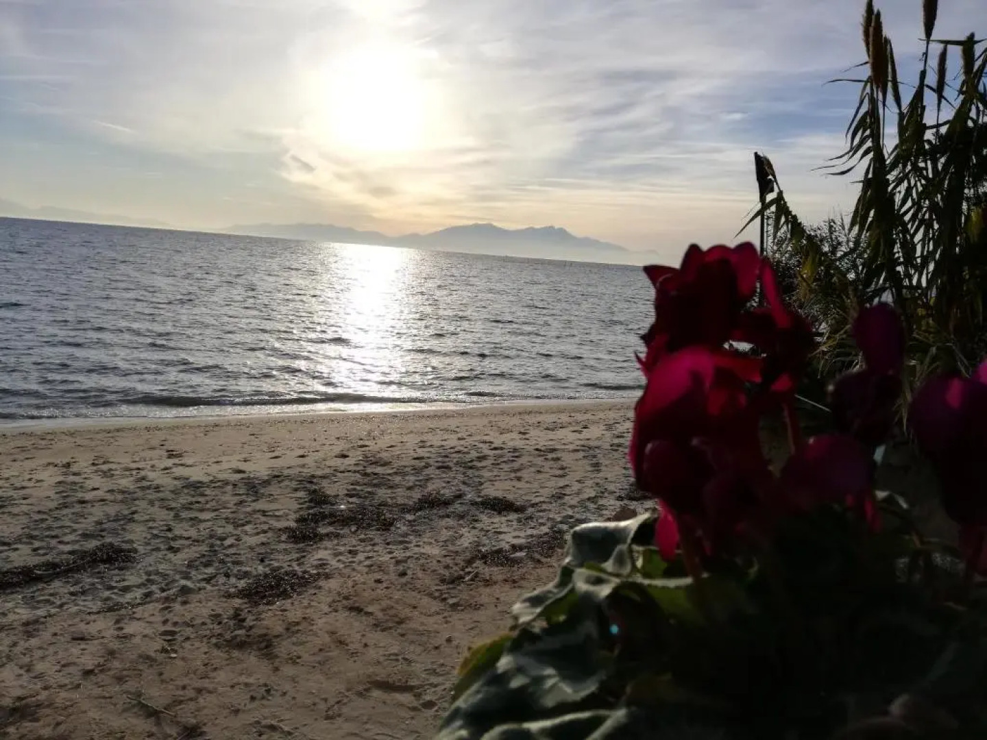 Crystal Blue Apartments