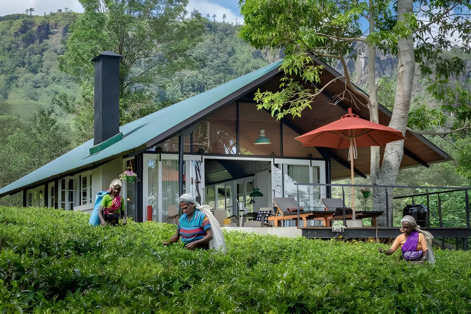 Madulkelle Tea and Eco Lodge
