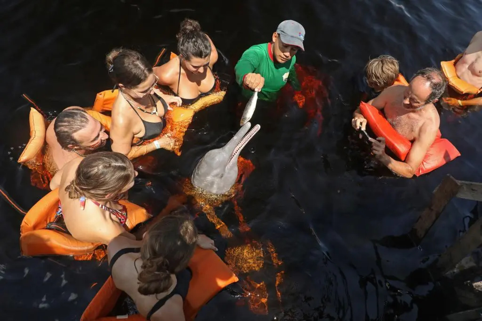 Amazon Ecopark Jungle Lodge