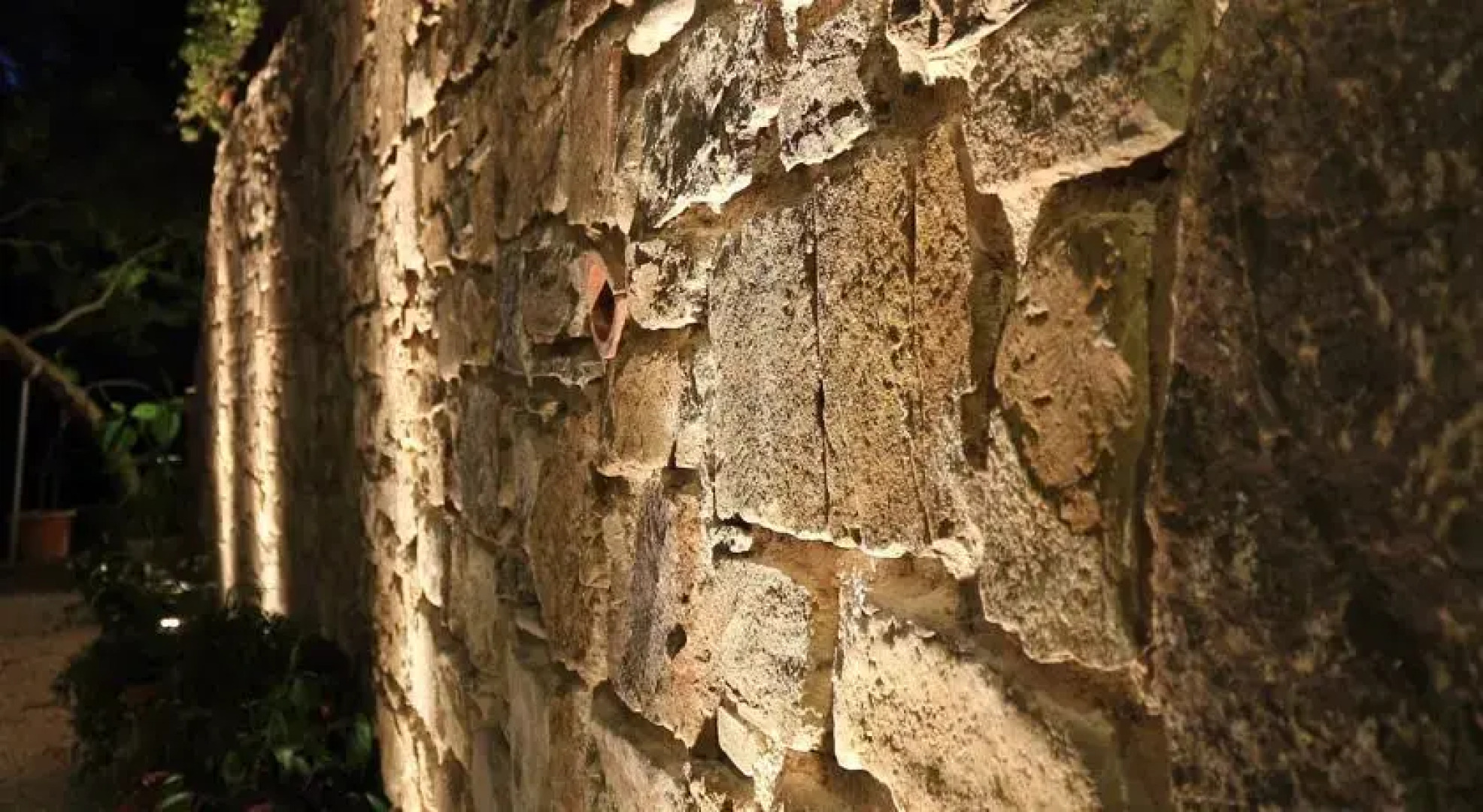 La gatta del cilento