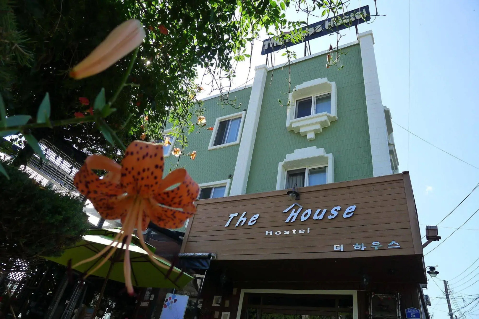 The House Hostel Sokcho