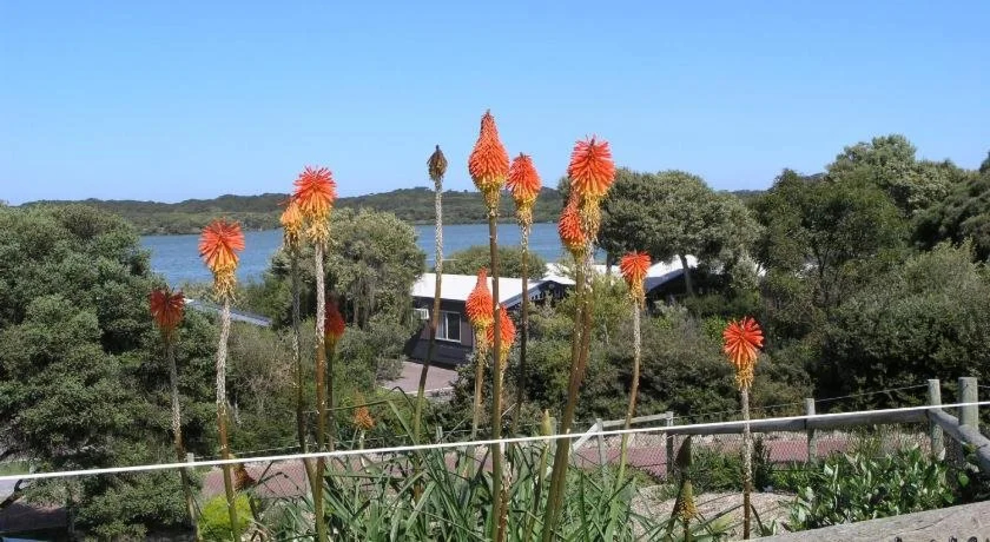 Lakeside Tourist Park