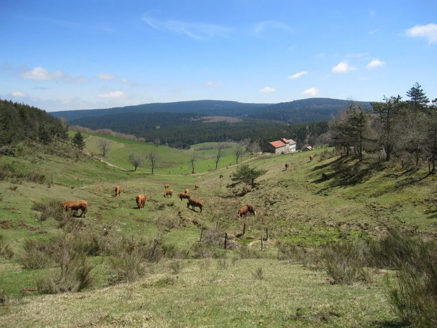 Le Relais De Clavières